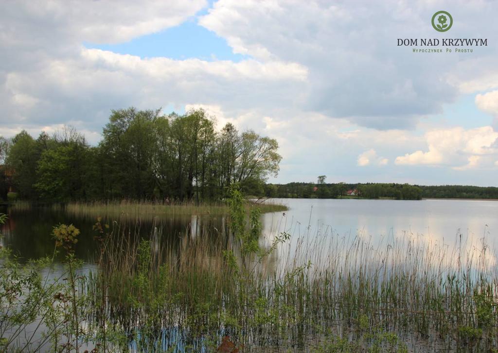 Dom Nad Krzywym - Prywatna Plaza, 2 Boiska, Sauna, Plac Zabaw Krzywe  Bagian luar foto